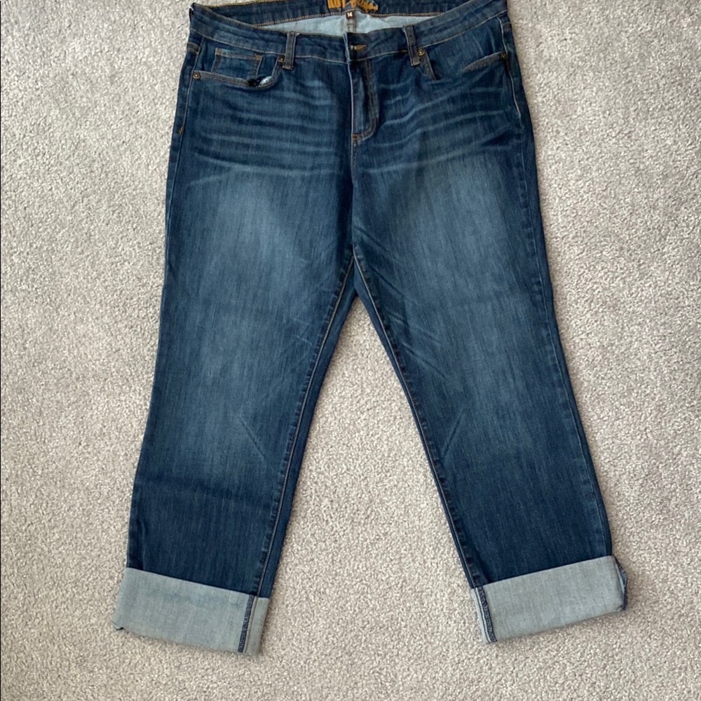 Kut from the Kloth Blue Ankle Cropped Denim